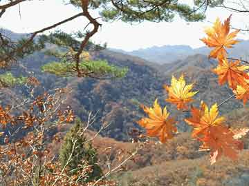 堕胎药微信锂业股早盘上扬 天齐锂业涨近4%赣锋锂业涨近2%