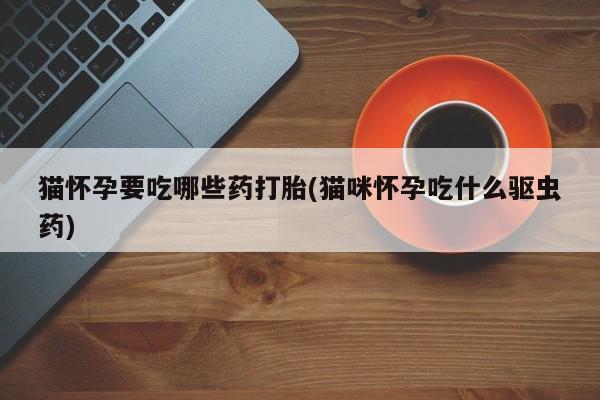 堕胎药微信猫怀孕要吃哪些药打胎(猫咪怀孕吃什么驱虫药)