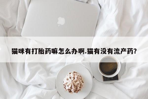 堕胎药微信猫咪有打胎药嘛怎么办啊.猫有没有流产药？