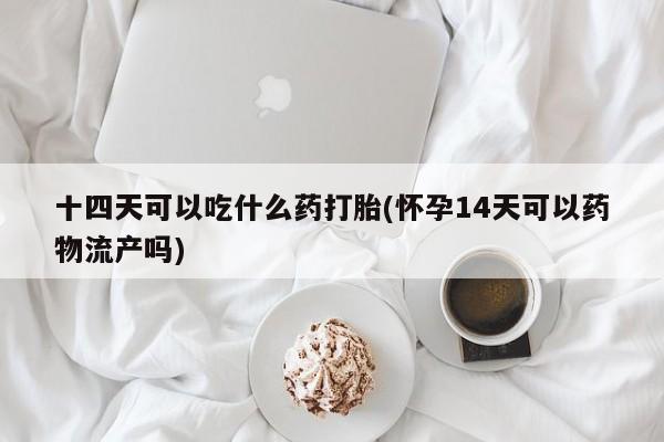 堕胎药微信十四天可以吃什么药打胎(怀孕14天可以药物流产吗)